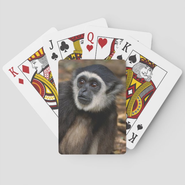 White-Handed Gibbon (Hylobates Lar), Monkeyland Playing Cards (Back)