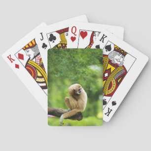 White Handed Gibbon on a Tree Playing Cards