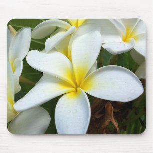White Hawaii Plumeria Flower Mouse Mat