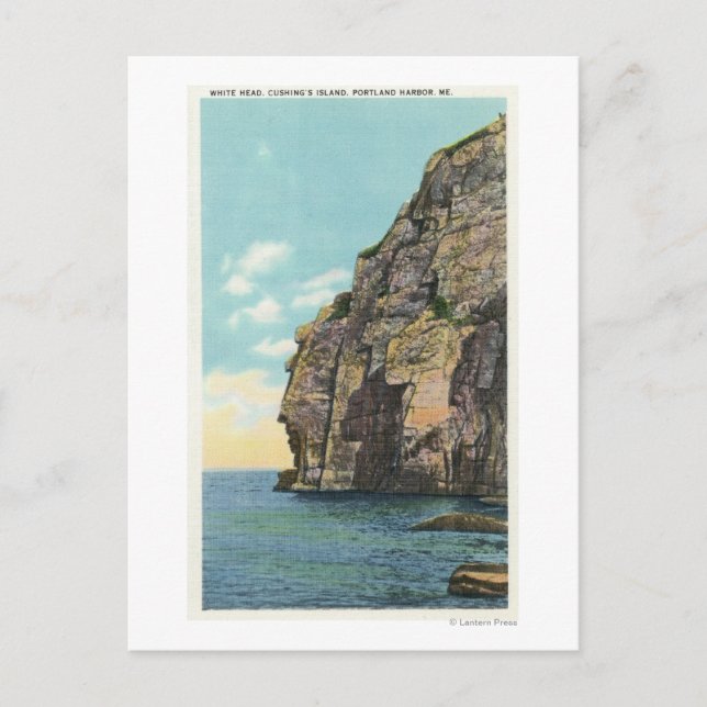 White Head in the Portland Harbour Postcard (Front)