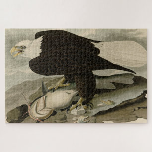 White-headed (Bald Eagle) Audubon Birds of America Jigsaw Puzzle