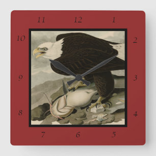White-headed (Bald Eagle) Audubon Birds of America Square Wall Clock