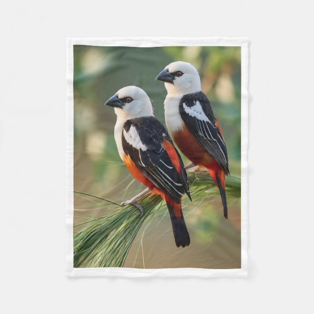 White-headed Buffalo Weaver Blanket (Front)