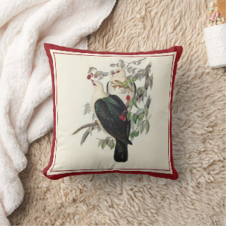 White-headed Fruit Pigeon, Cushion