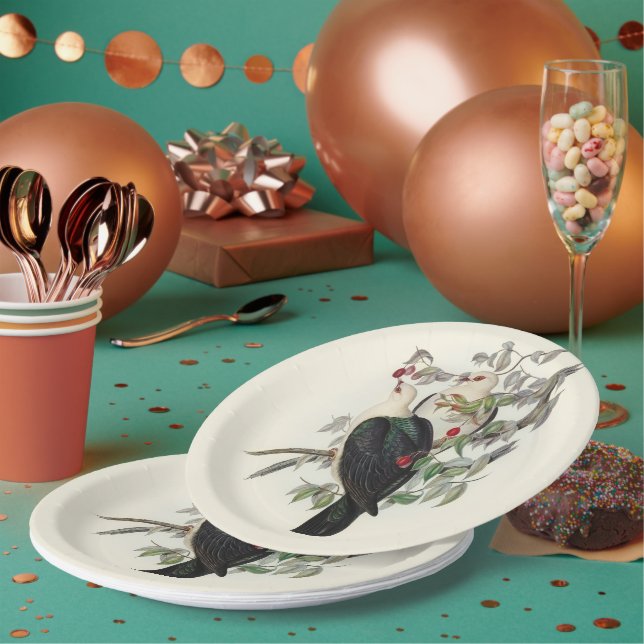 White-headed Fruit Pigeon,  Paper Plate (Multi)