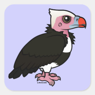 White-headed Vulture Square Sticker