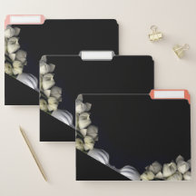 "White heart in black from moon"