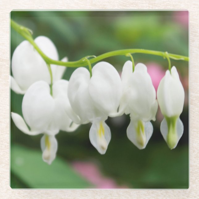 "White Heart" Original Art by KAS Glass Coaster (Front)