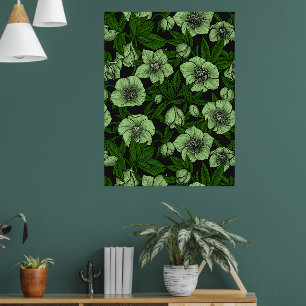 White Hellebores with leaves Poster