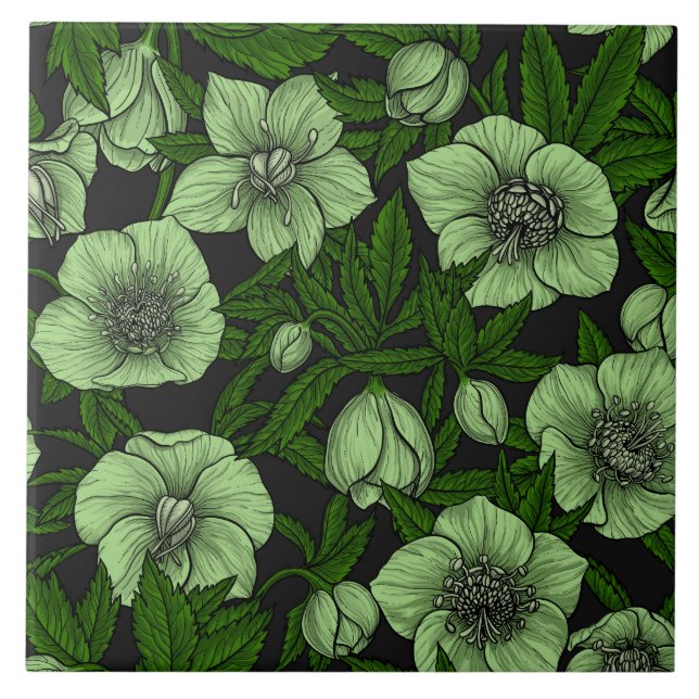 White Hellebores with leaves Tile (Front)