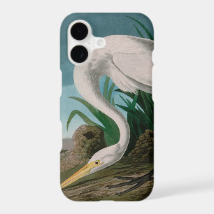 White Heron Birds of America Audubon Print