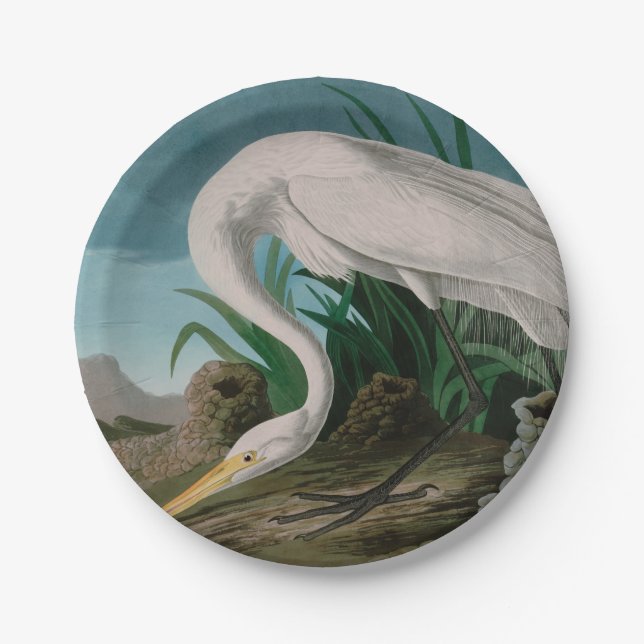 White Heron Birds of America Audubon Print Paper Plate (Front)