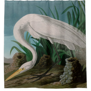 White Heron Birds of America Audubon Print Shower Curtain