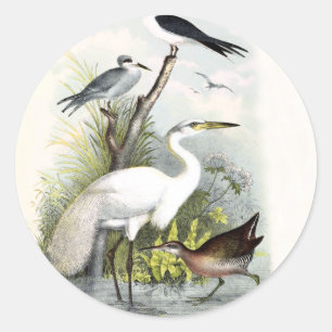 White Heron Classic Round Sticker