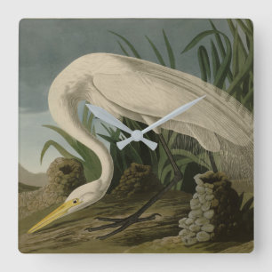 White Heron, Great Egret, Audubon Birds of America Square Wall Clock