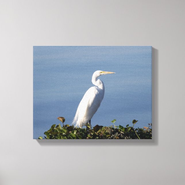White Heron on Lilypads Canvas Print (Front)