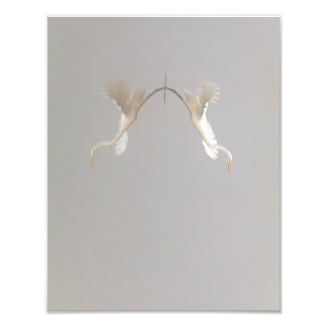 White Heron Taking Off Zen Photo Print (Front)