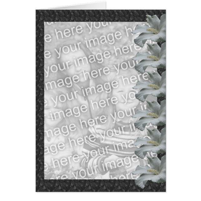 White Hibiscus Floral Design Photo Card (Front)