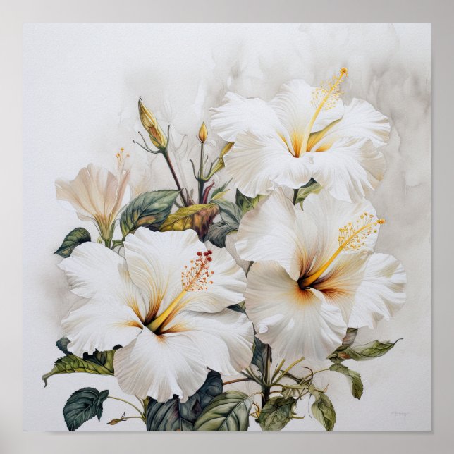 White Hibiscus Flower Art Print Poster (Front)
