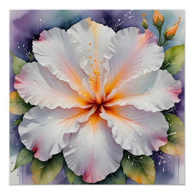 white hibiscus flower poster (Front)