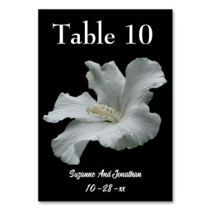 White Hibiscus Flower Wedding  Table Number