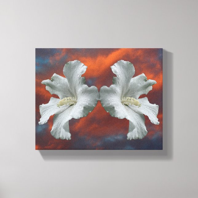White Hibiscus Flowers On Dramatic Sky  Canvas Print (Front)