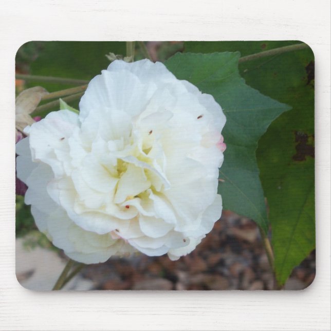 white hibiscus mutabilis flower mouse mat (Front)