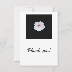 White hibiscus on blank thank you card