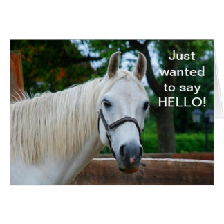 White Horse