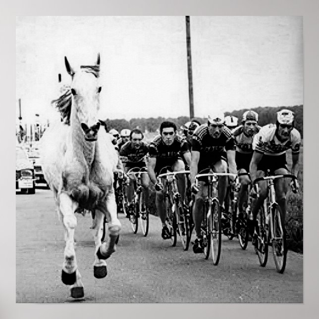 White Horse 1975 Tour De France Colour Redux Poster (Front)