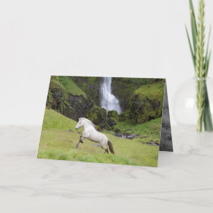 White Horse and the Waterfall Horse Greeting Card