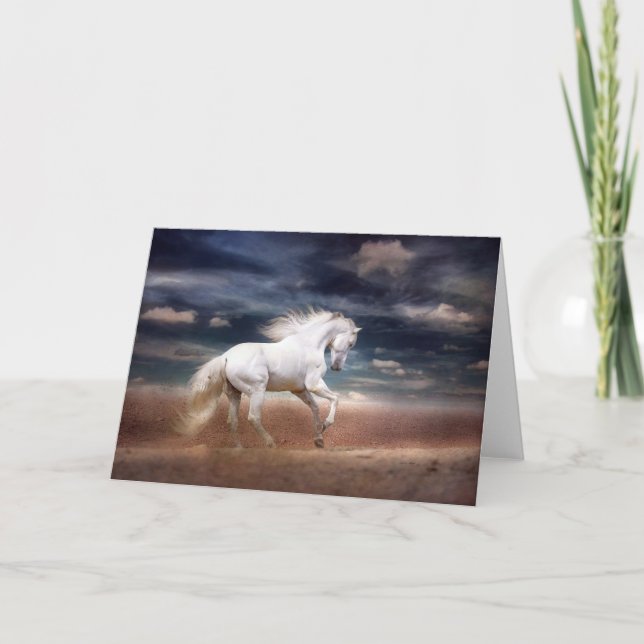 White Horse at Sunset on Beach Greeting Card (Front)