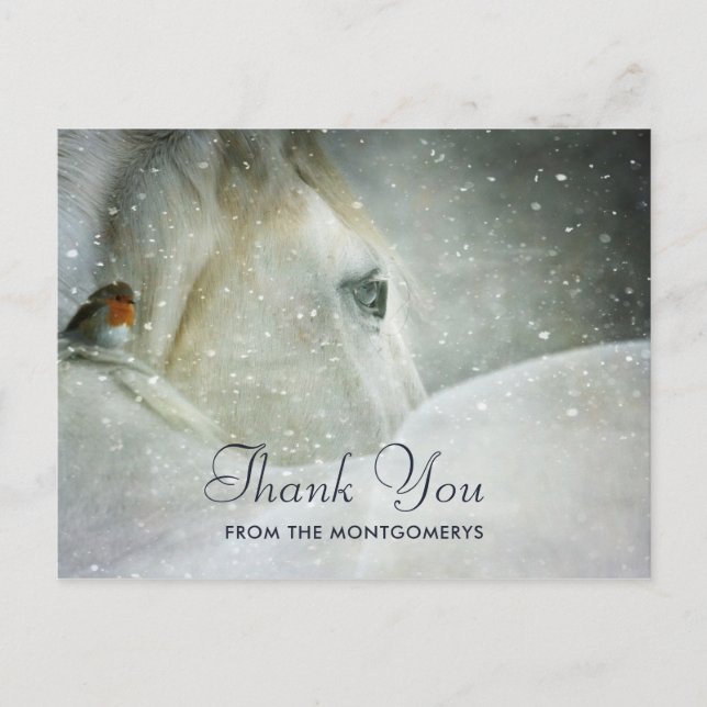 White Horse & Bird in a Winter Snowfall Thank You Postcard (Front)