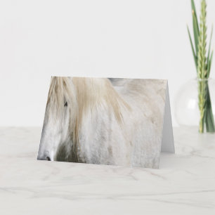White horse birthday card