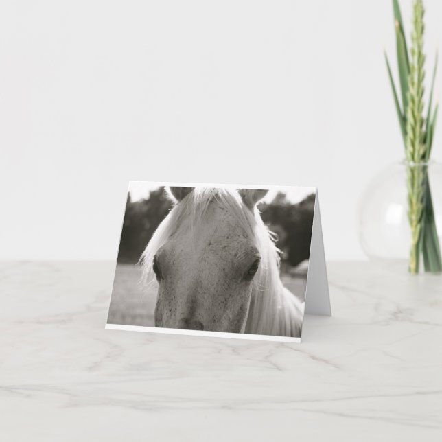 White Horse Blank Note Card (Front)