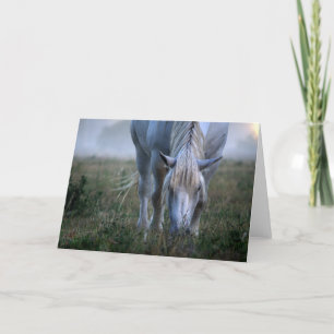 White Horse Card