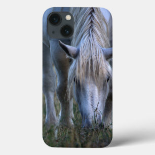 White Horse iPhone 13 Case