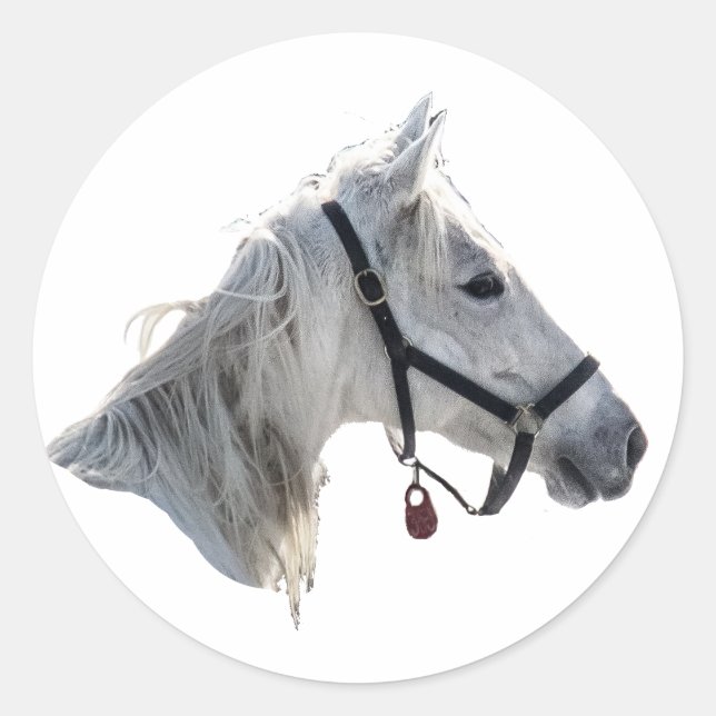 White Horse Classic Round Sticker (Front)