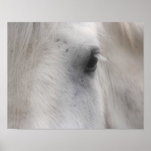 White Horse Eye Poster