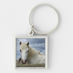 White Horse   France Key Ring