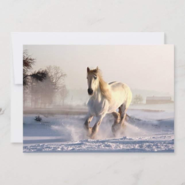 White Horse Galloping Through the Winter Snow (Front)