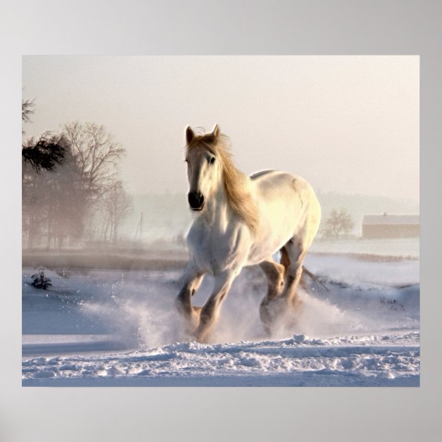 White Horse Galloping Through the Winter Snow Poster (Front)