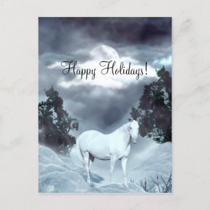 White horse Happy Holidays Holiday Postcard