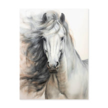 White Horse Illustration Postcrossing