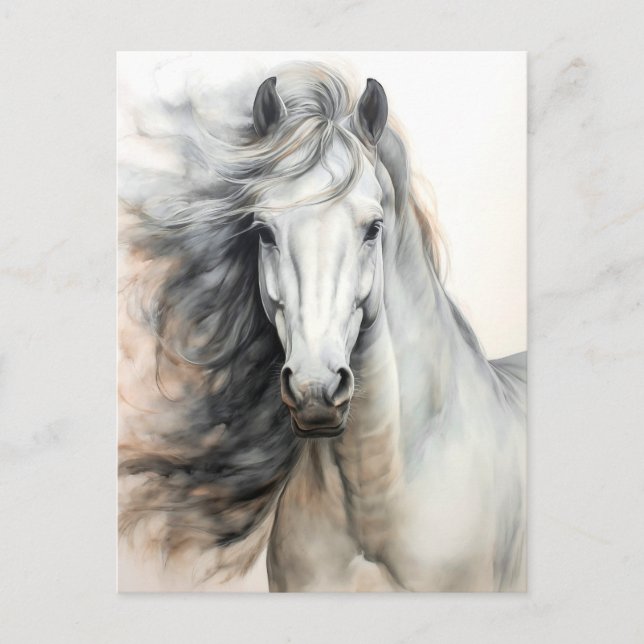 White Horse Illustration Postcrossing Postcard (Front)