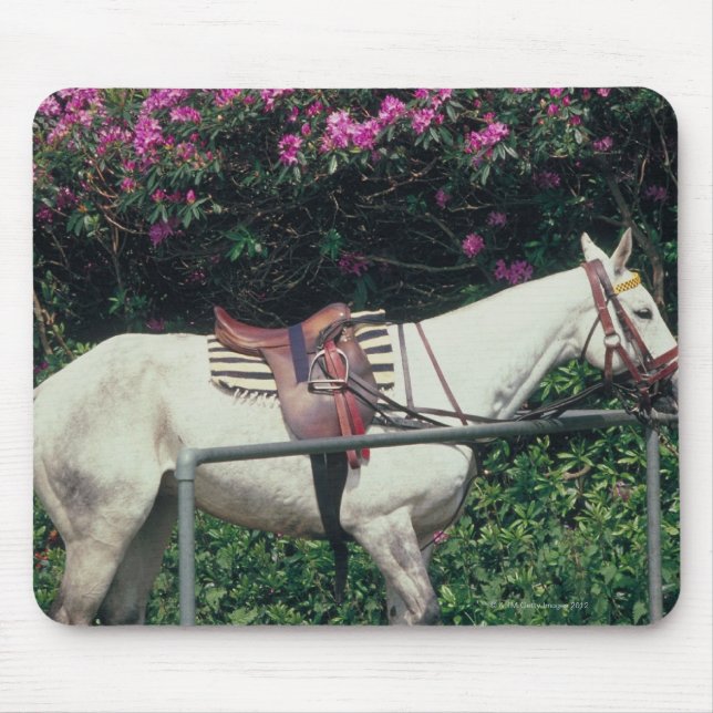 White Horse in a Garden Mouse Mat (Front)