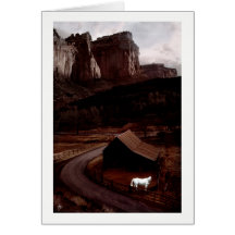 White Horse in a Painted Canyon