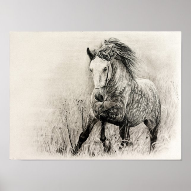 White horse in charcoal poster (Front)
