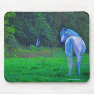 White Horse in Field at Midnight Art Mousepad