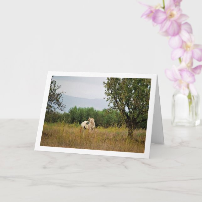 White Horse in Field Card (Orchid)